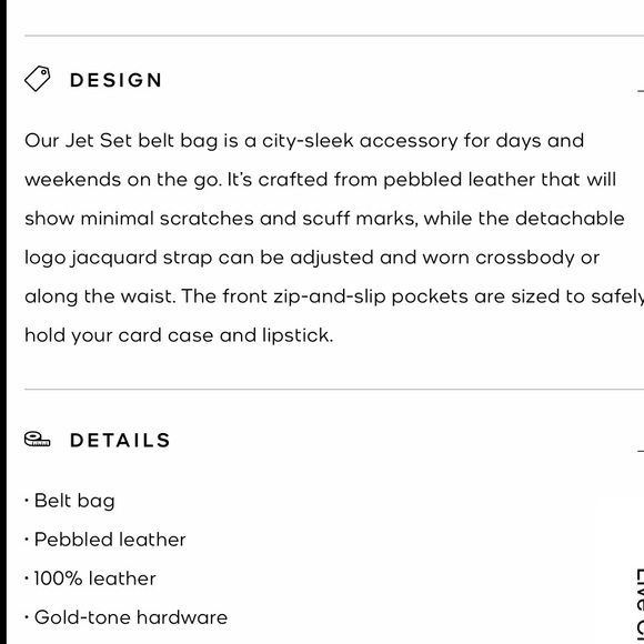 MICHAEL KORS Jet Set Small Pebbled Leather Belt Bag - Picture 3 of 8